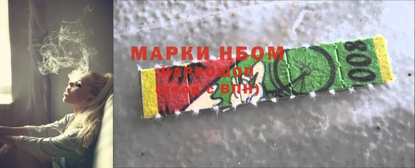гашик Алексин
