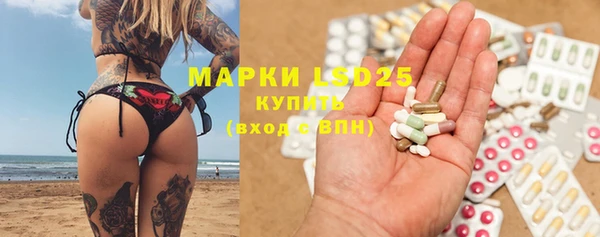 гашик Алексин