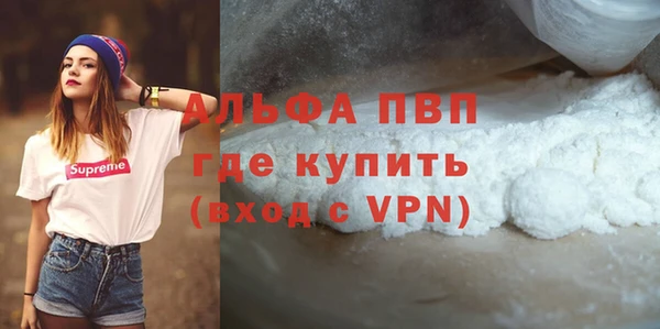 гашик Алексин
