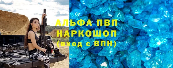 гашик Алексин