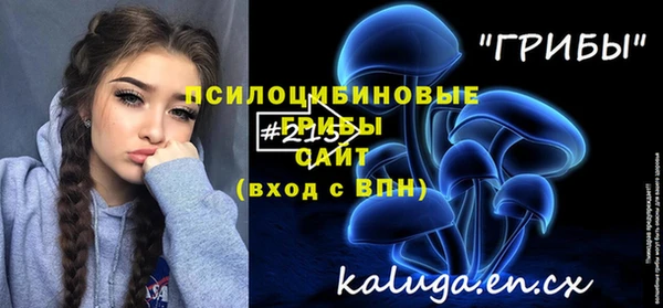 стаф Алексеевка