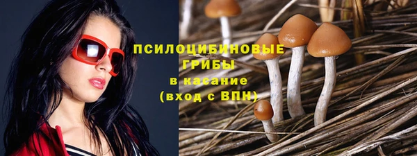 стаф Алексеевка
