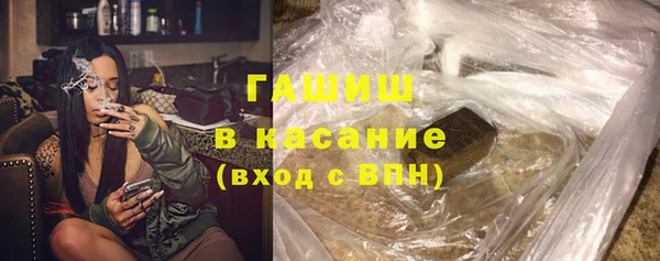 гашик Алексин