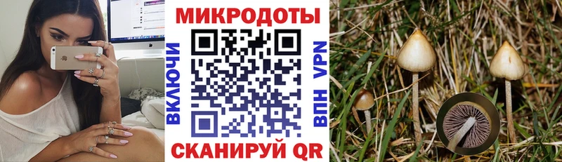 Псилоцибиновые грибы Psilocybine cubensis  как найти закладки  Еманжелинск 
