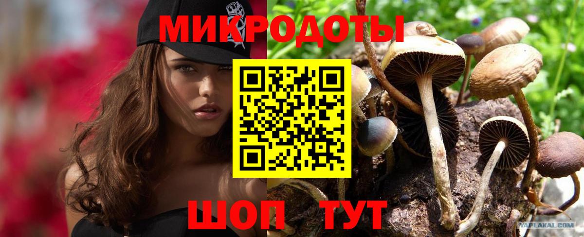 Псилоцибиновые грибы прущие грибы  Вход с VPN  даркнет сайт  Еманжелинск  Псилоцибиновые грибы Cubensis 